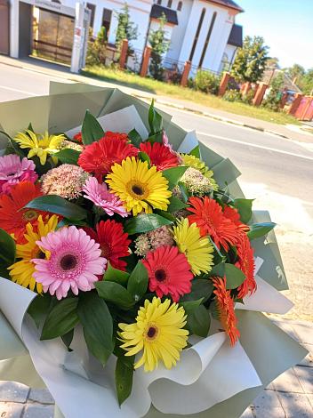 Букет цветов из: Герберы в Бородинский Тульская область